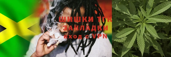 прущие грибы Верхнеуральск