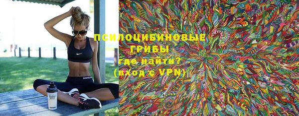 прущие грибы Верхнеуральск