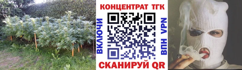 ТГК жижа  Купить  Стародуб 